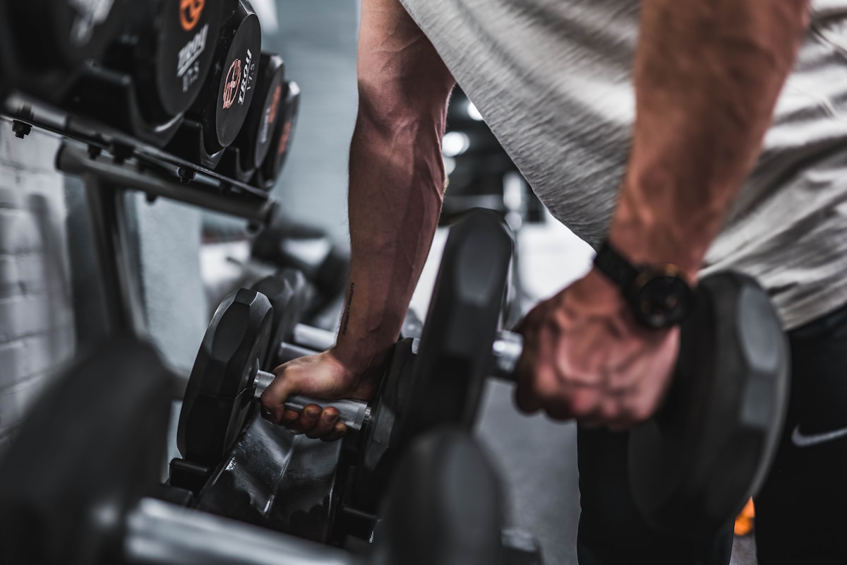 Detalle de rack de mancuernas en sala de musculación